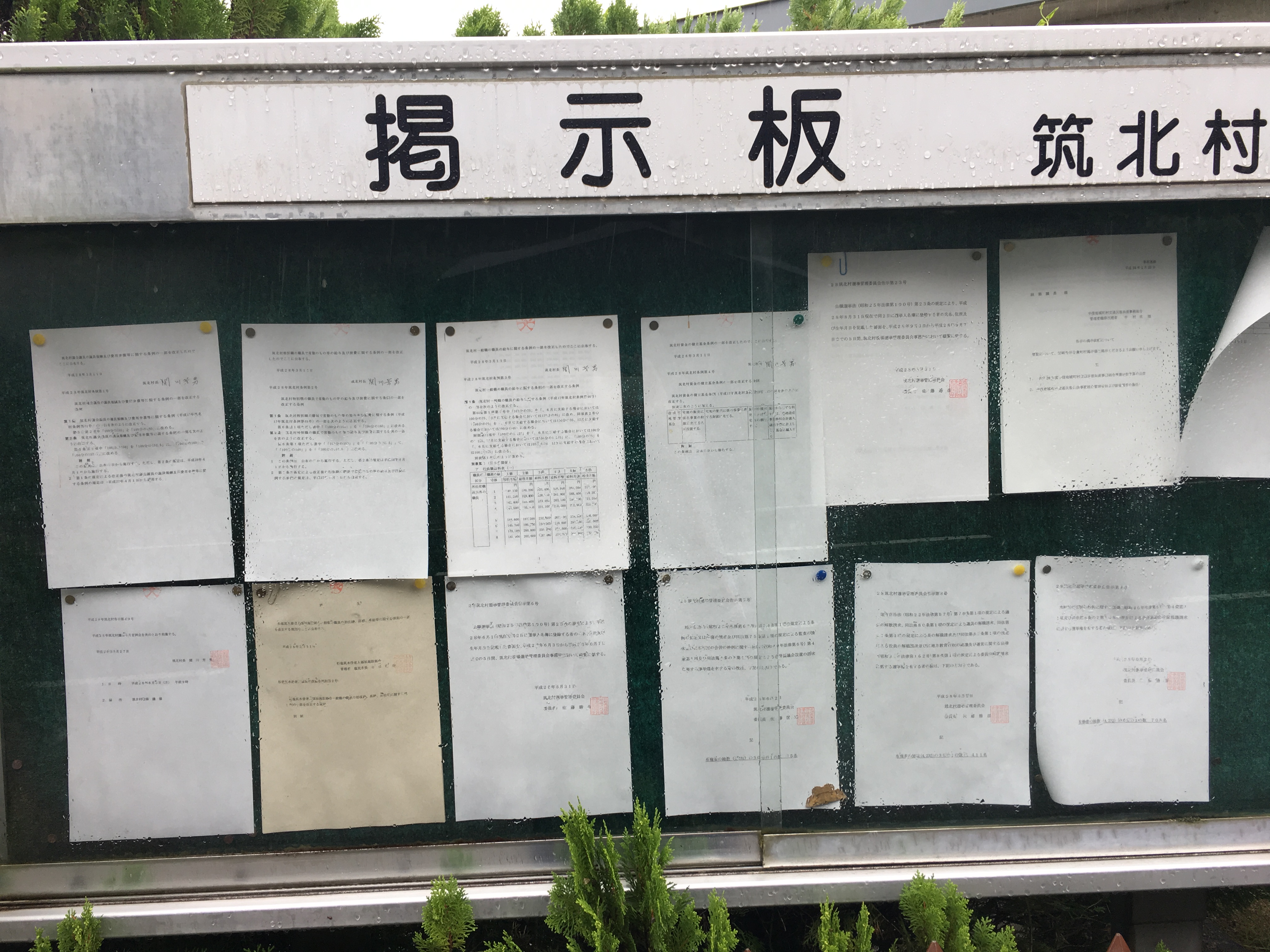 アップロードファイル 77-2.jpg