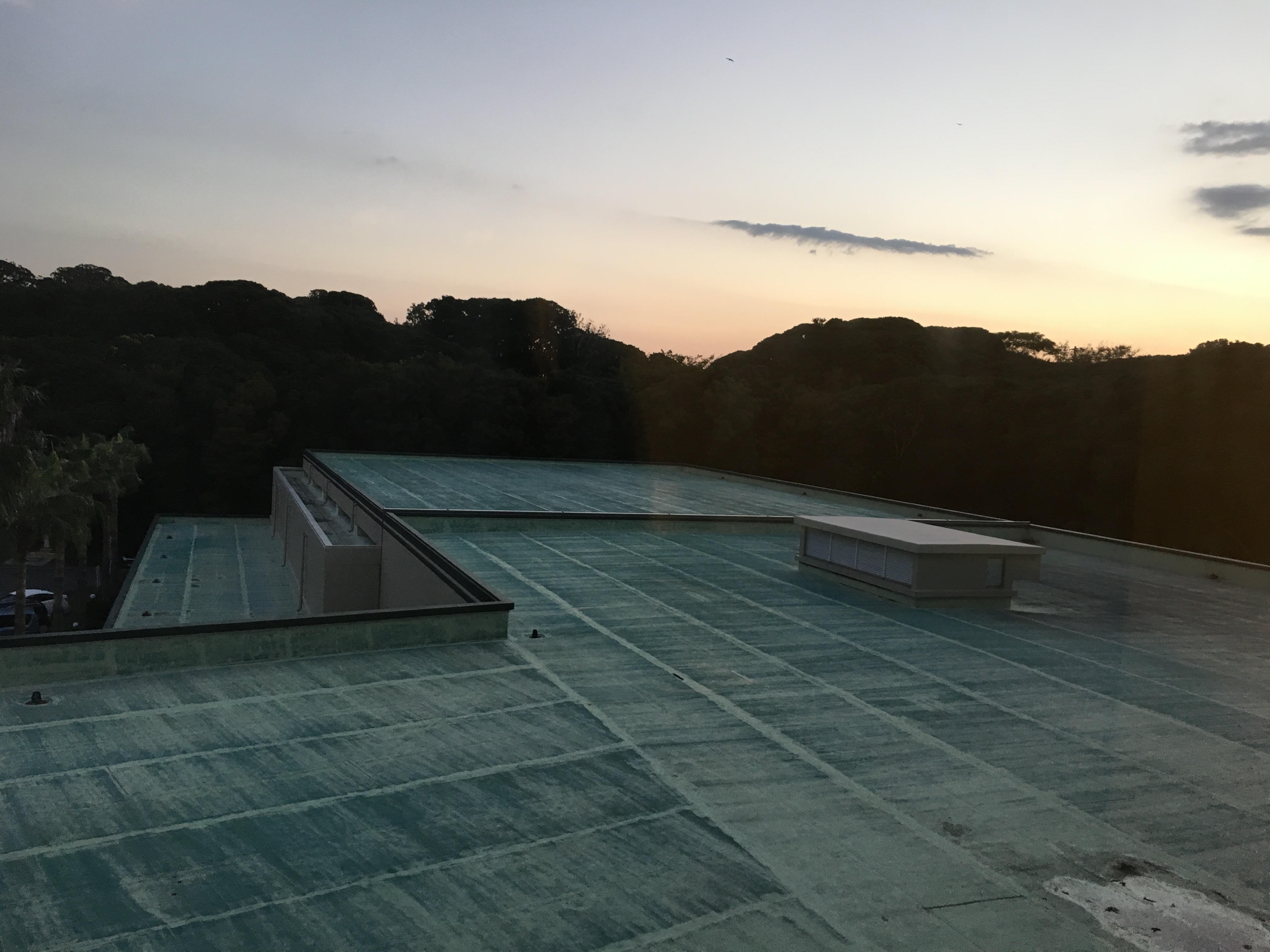 アップロードファイル 20-1.jpeg