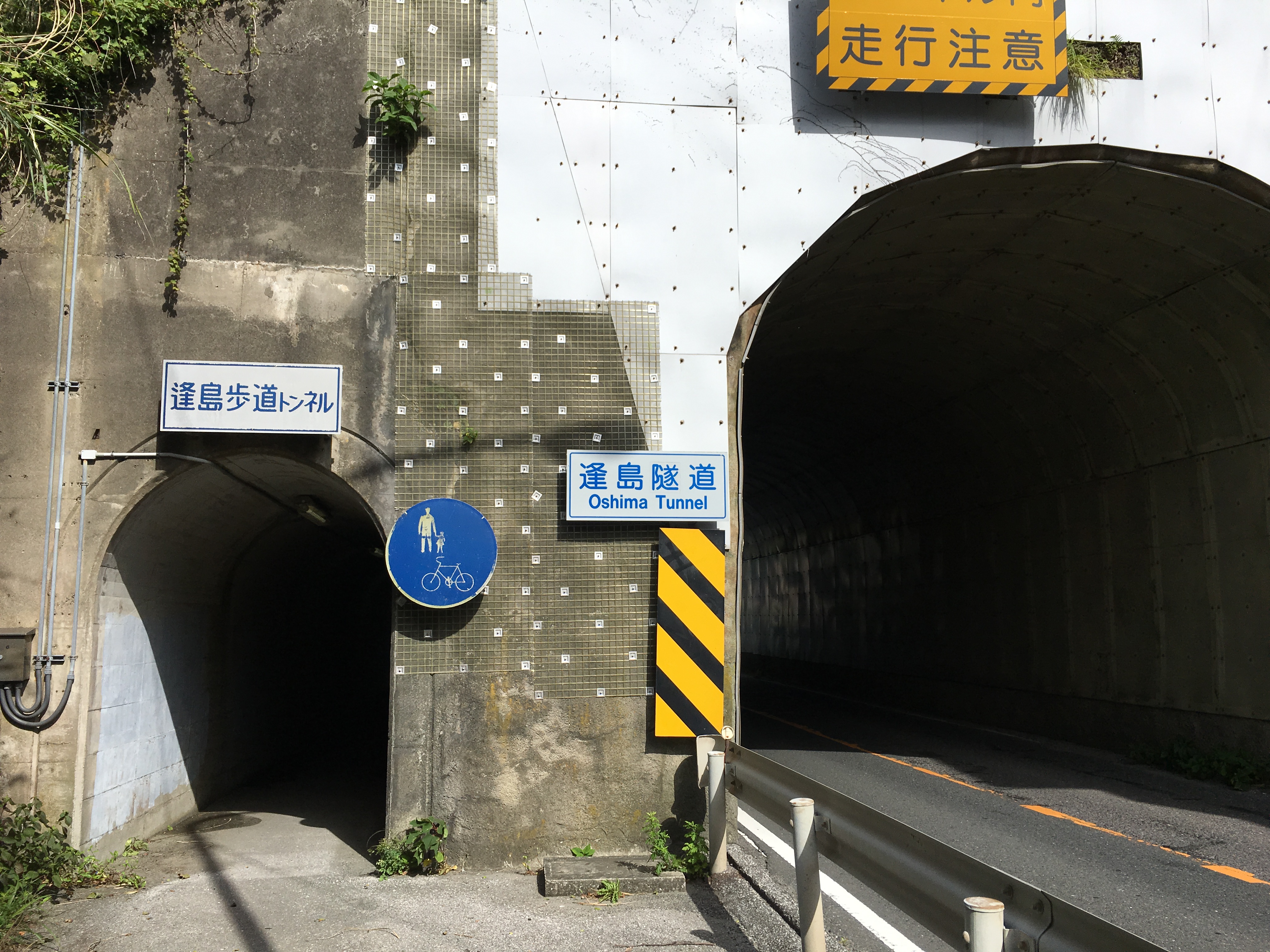 アップロードファイル 24-1.jpeg