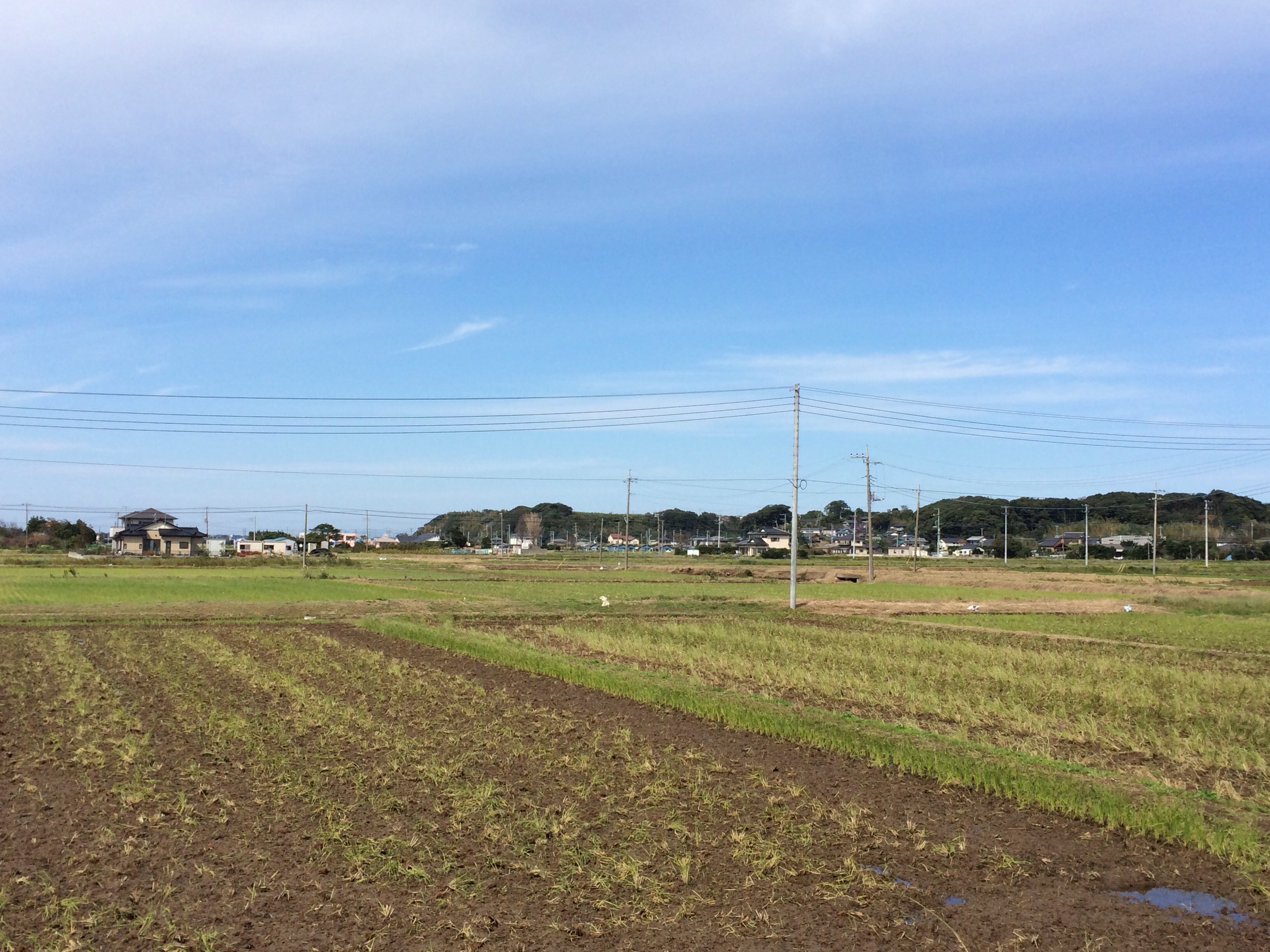 アップロードファイル 29-2.jpg