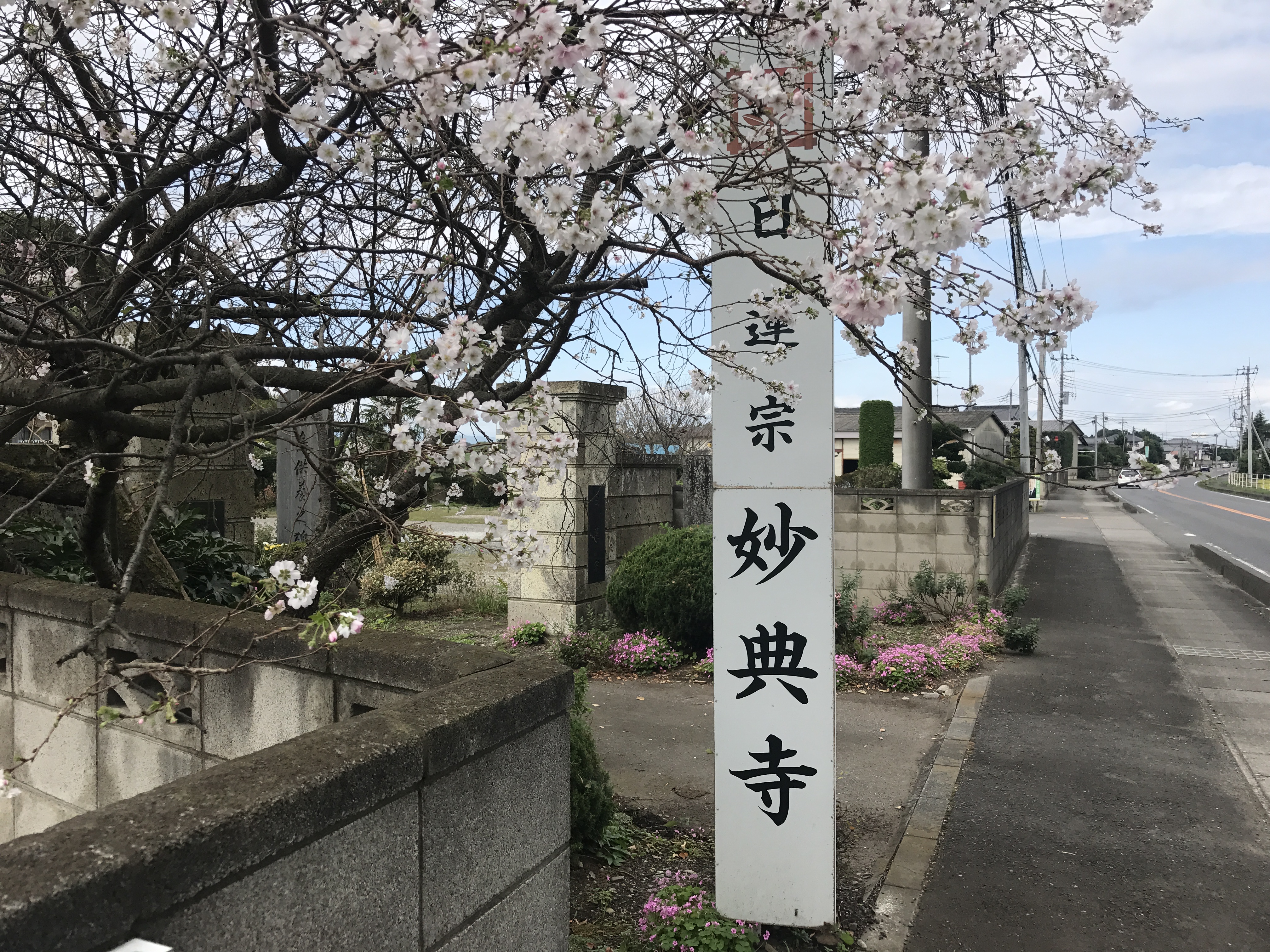 アップロードファイル 55-1.jpg