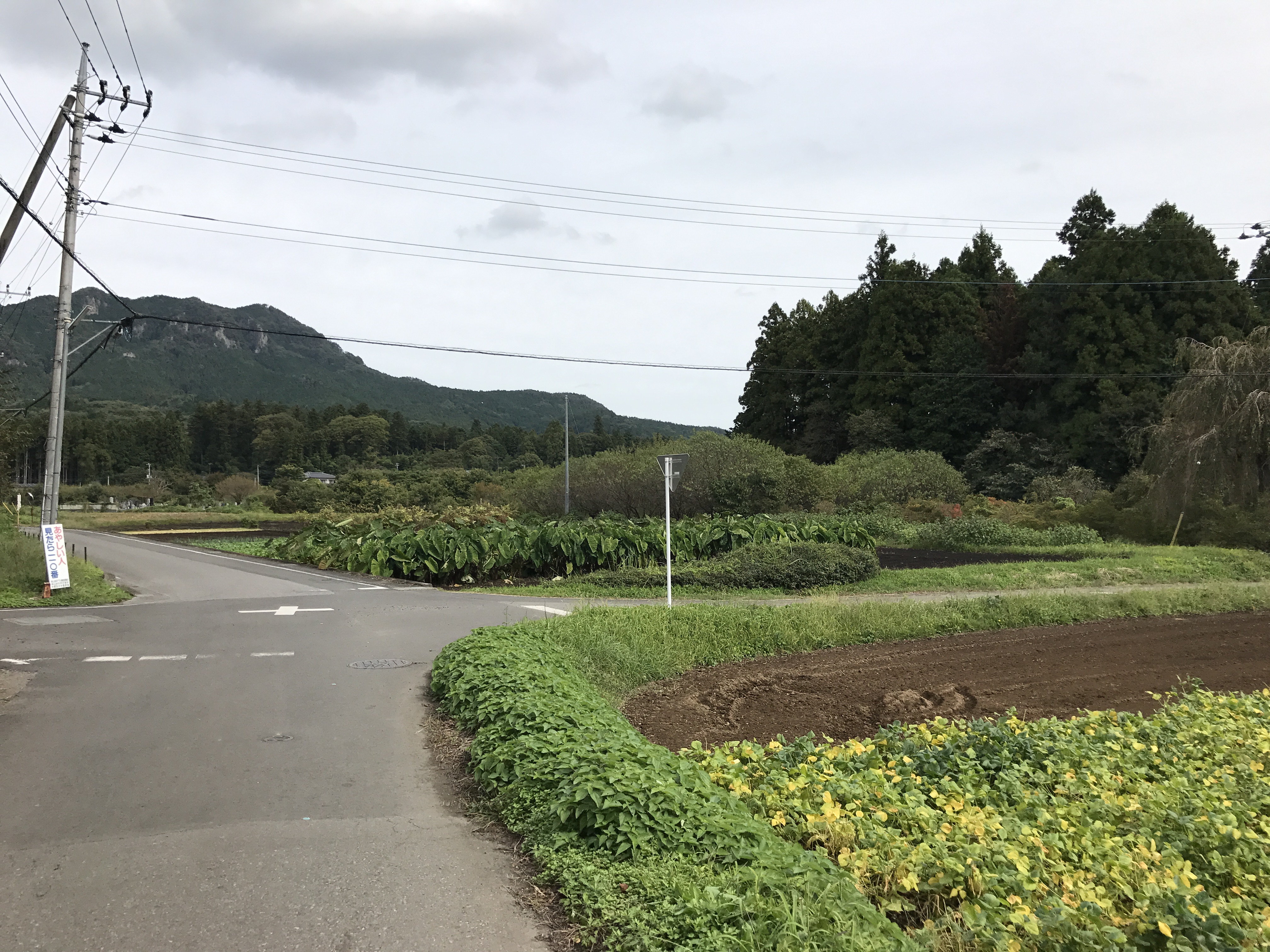 アップロードファイル 76-1.jpg