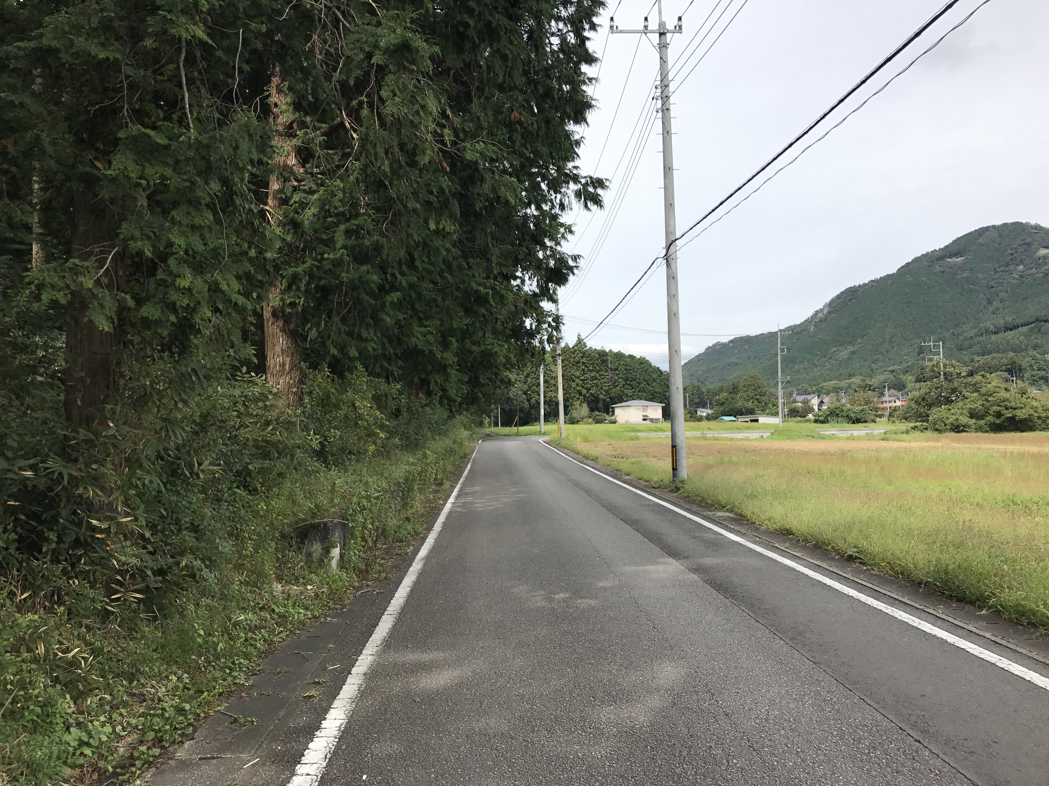 アップロードファイル 76-2.jpg