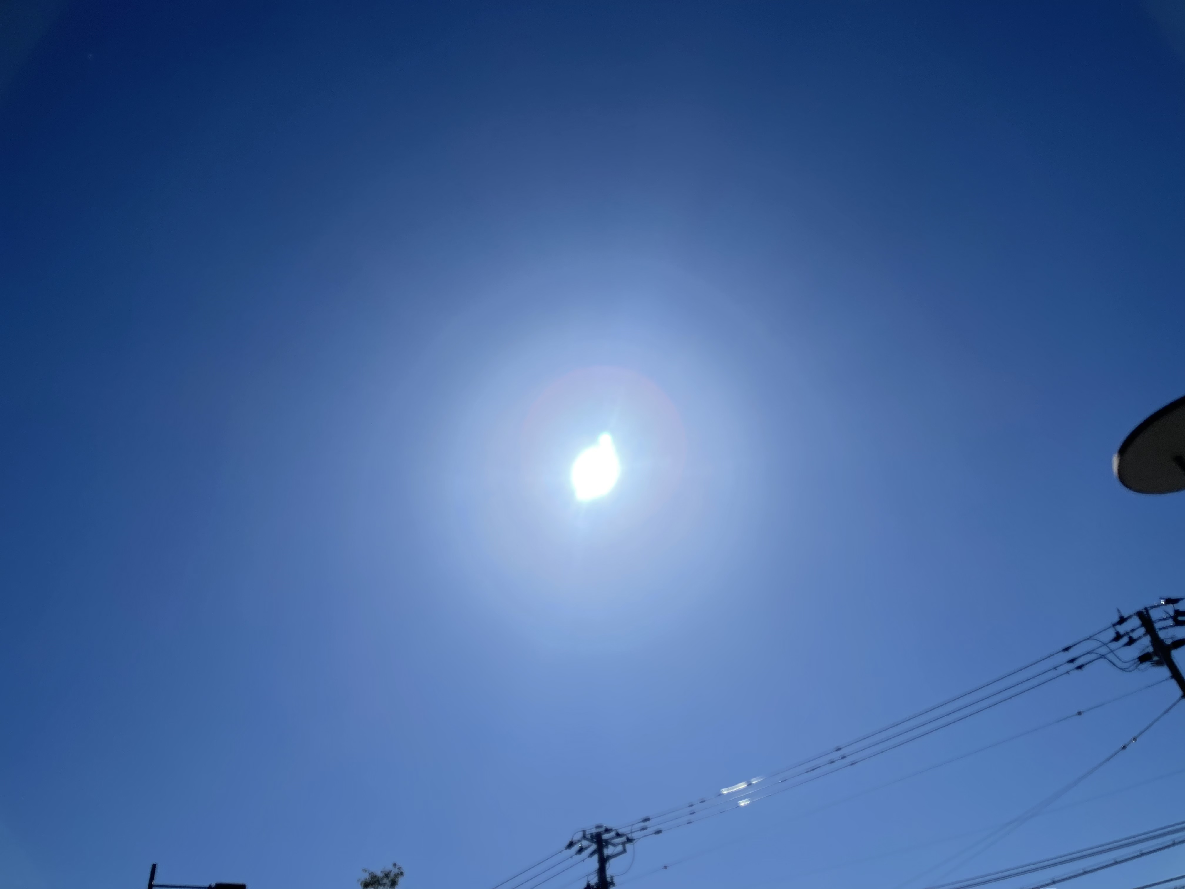 アップロードファイル 37-1.jpeg
