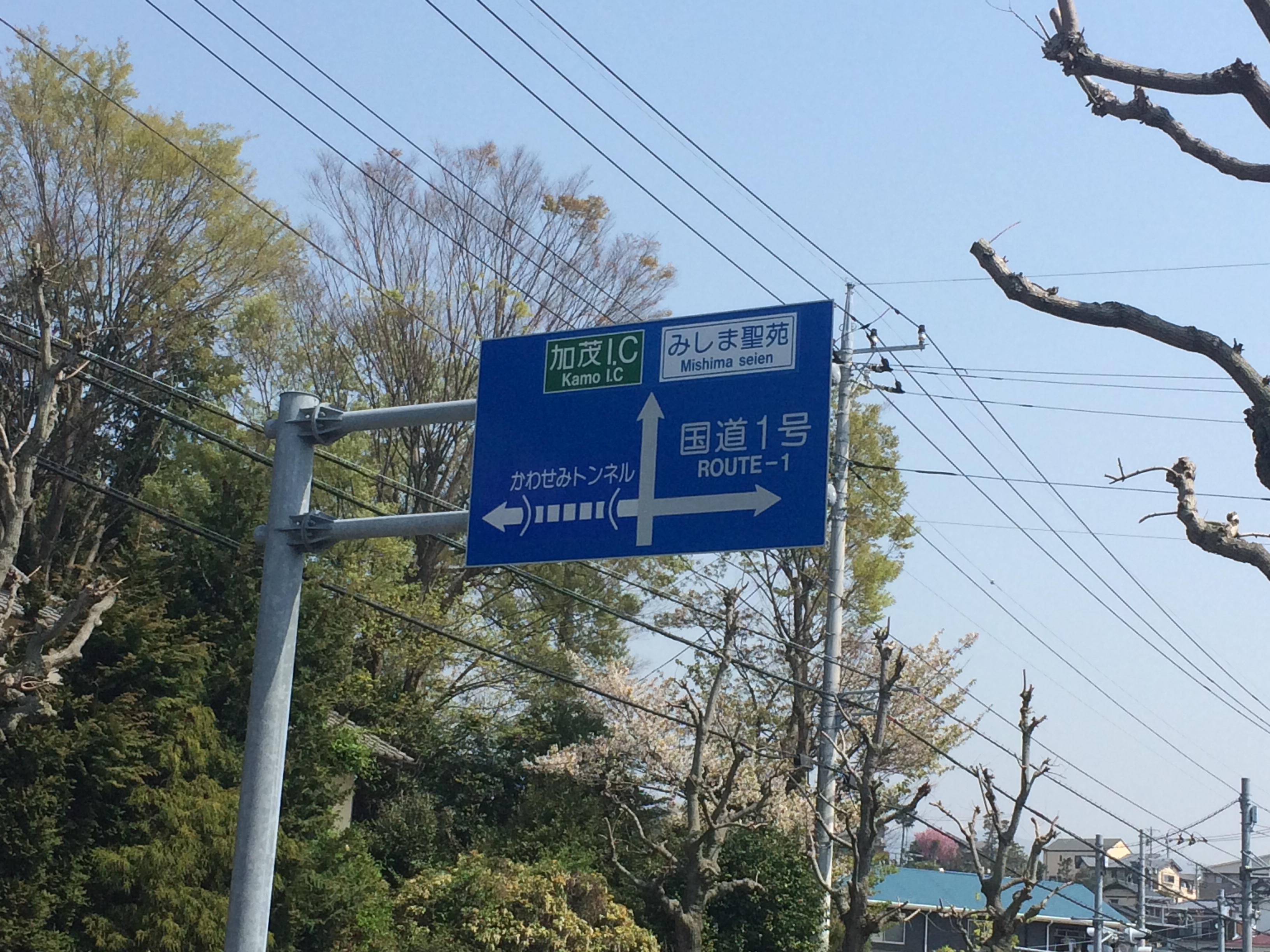アップロードファイル 71-1.jpg